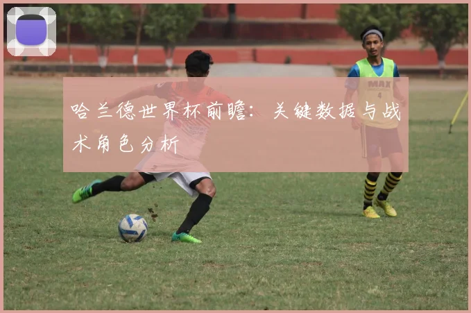 哈兰德世界杯前瞻：关键数据与战术角色分析